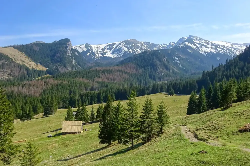 Tatra 805 Hasiči