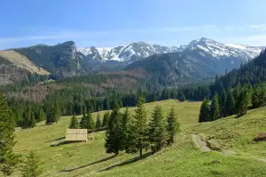 Tatra 805 Hasiči