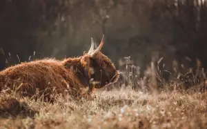 Jak Vymalovat Ložnici Fotogalerie